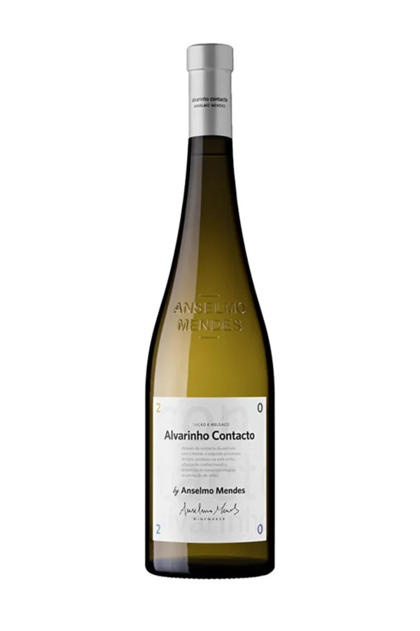 alvarinho-mendes-alvarinho-mendes-contacto-2023